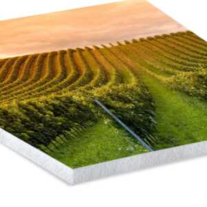 Forex Smart - Imagen 3