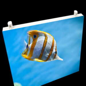 Colgadores de Cartón Pluma - Imagen 10